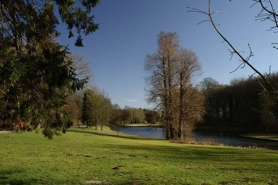 Bäume und Wiesen im Park von Tervuren