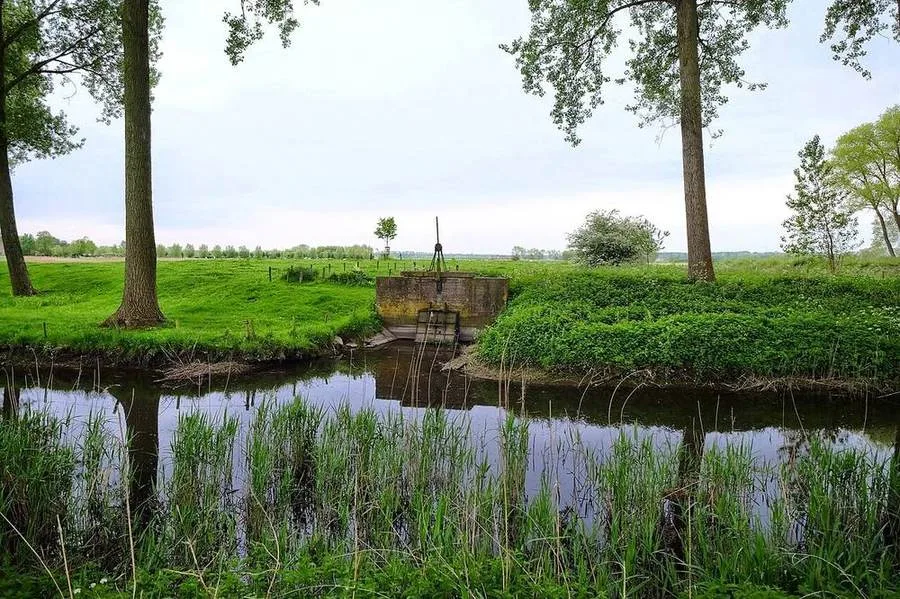 Kleine Brücke in der Polderlandschaft bei Damme