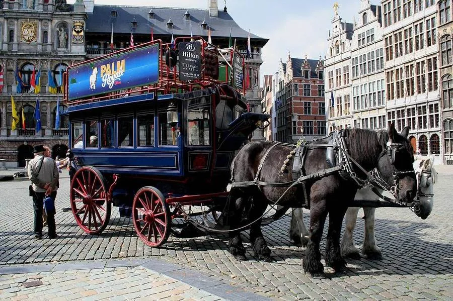 Pferdekutsche am Grote Markt in Antwerpen