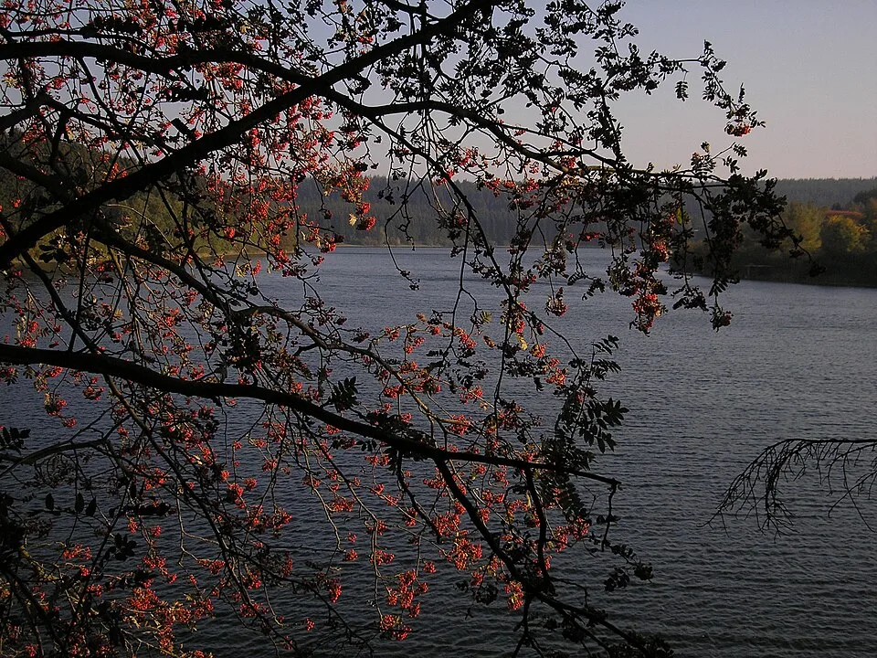 Bütgenbacher See