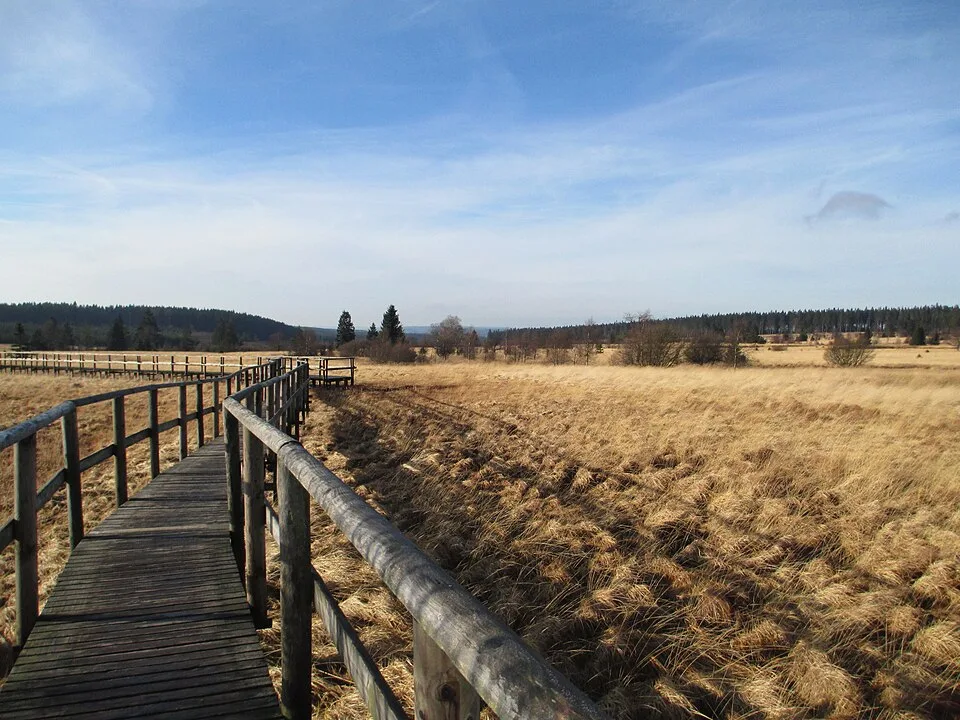 Holzsteg durch die Grande Fagne im Hohen Venn