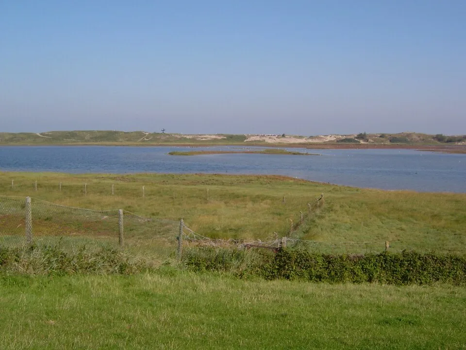 Das Naturschutzgebiet Zwin bei Knokke-Heist