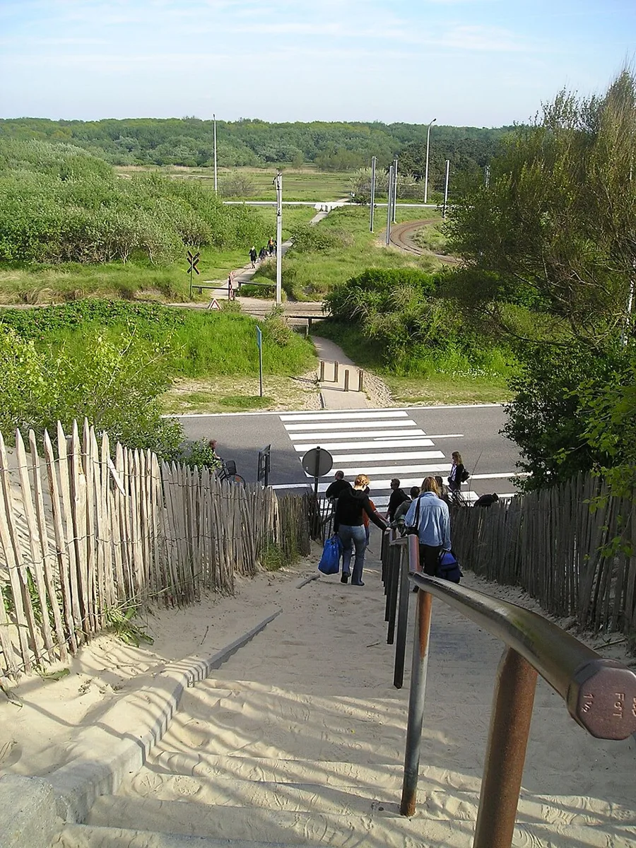 Dünen zwischen De Haan und Wenduine